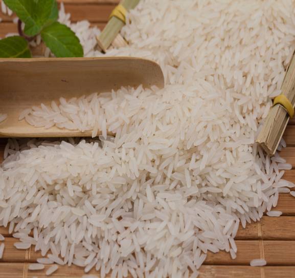​《控制餐后血糖功能性水稻新品种引进示范及产业化》项目通过验收