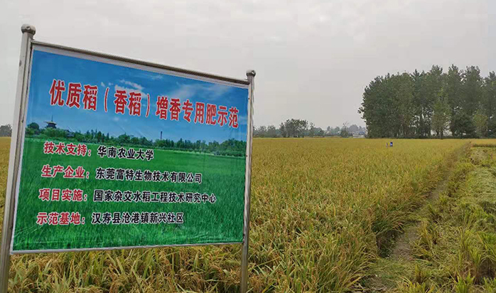 汉寿县増香专用肥项目