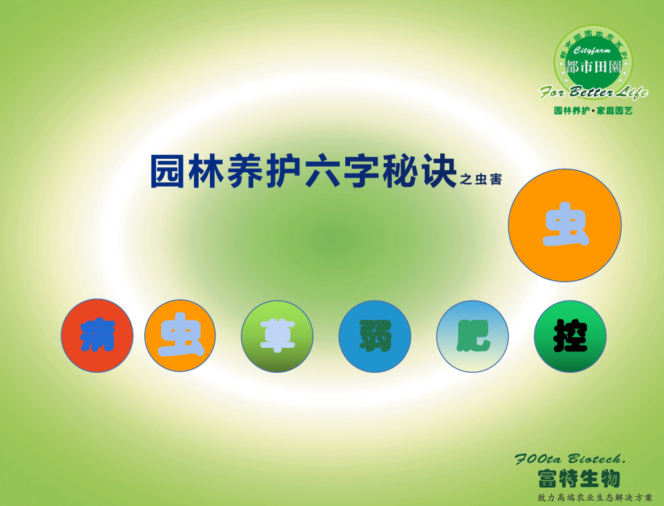 浅谈园林养护中的植物病害