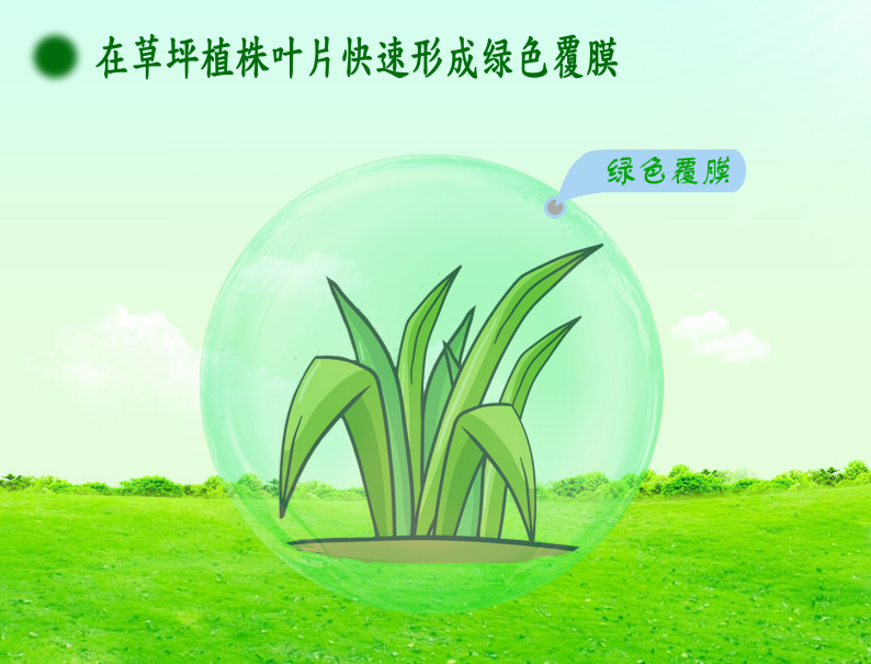 草坪增绿.png