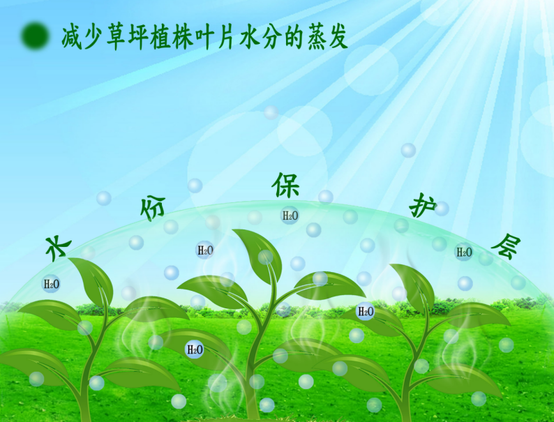 草坪着色.png