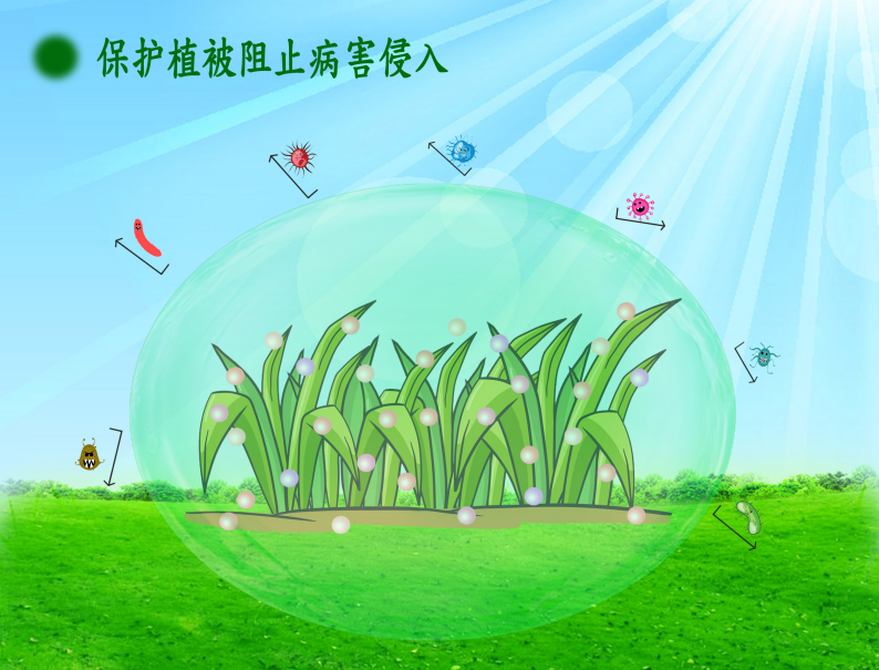 草坪染色.png
