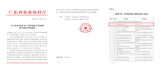 推广.png