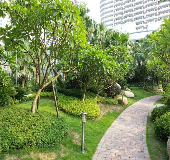 园林植物营养与肥料