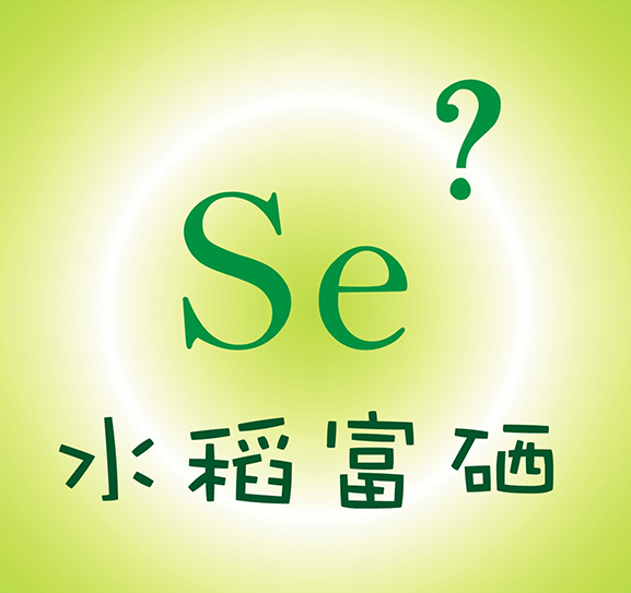 水稻富硒技术